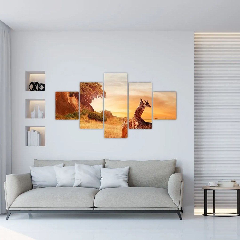 Obraz - Żyrafy w Afryce (125x70 cm)