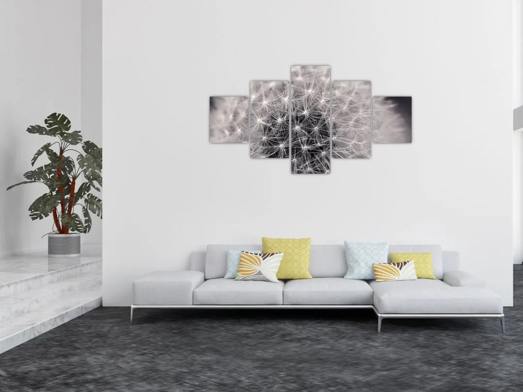 Obraz dmuchawca (125x70 cm)