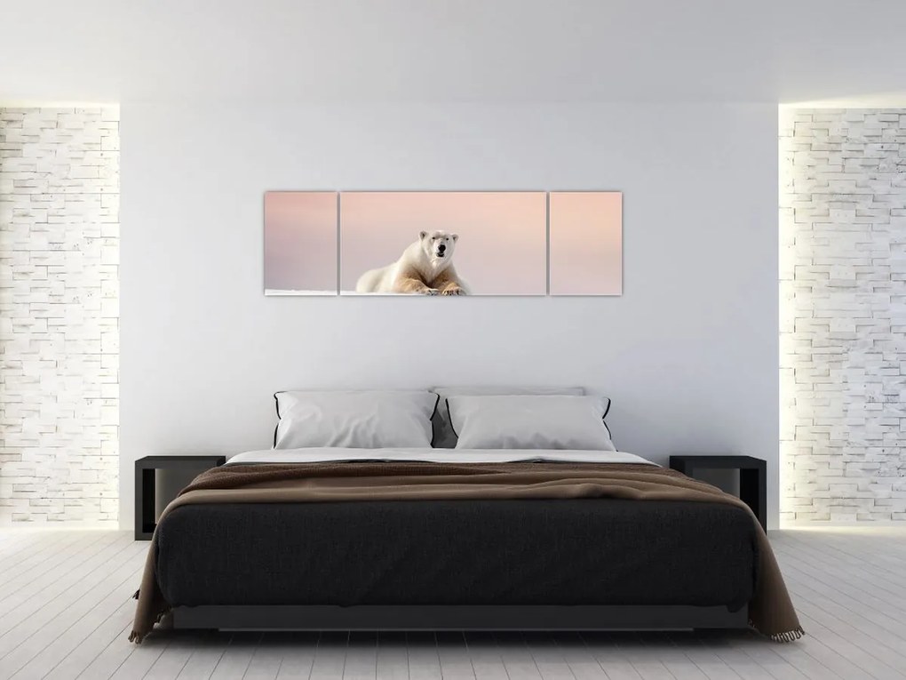 Obraz - Niedźwiedź polarny (170x50 cm)
