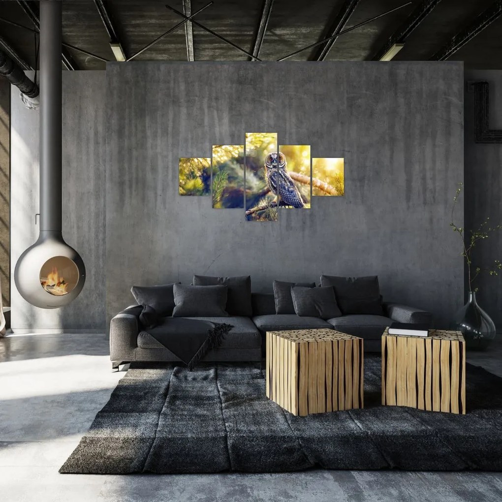Obraz sowy na drzewie (125x70 cm)