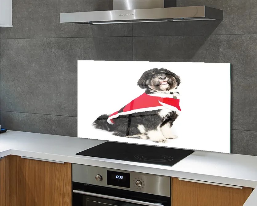 Szkło Ozdobne do Kuchni Portret Spokojnego Psa