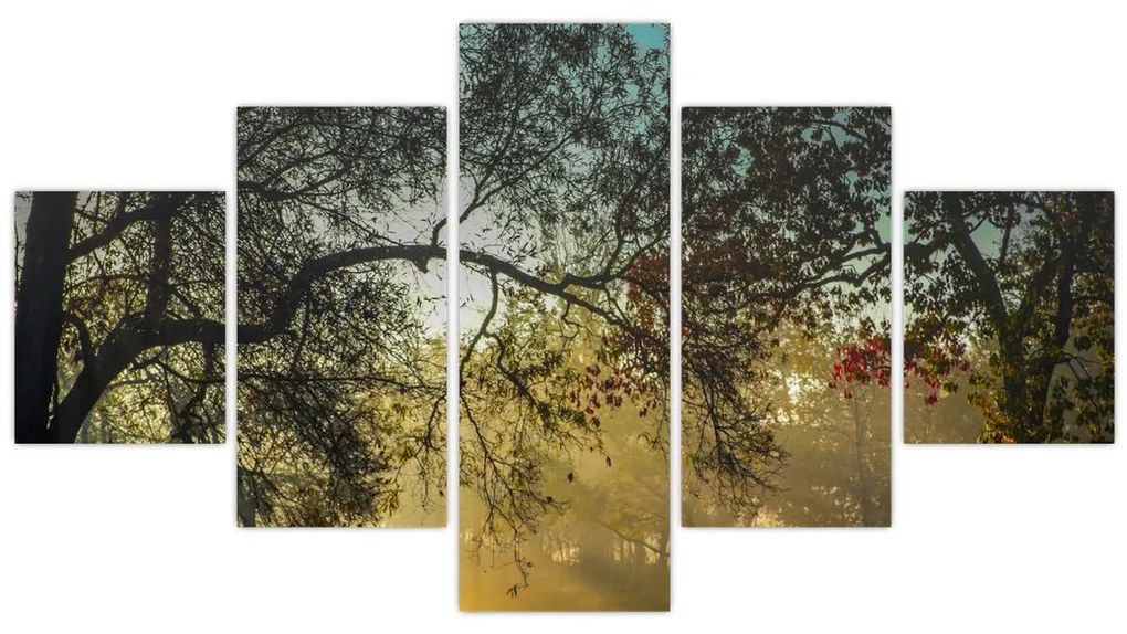 Obraz wschodu słońca (125x70 cm)