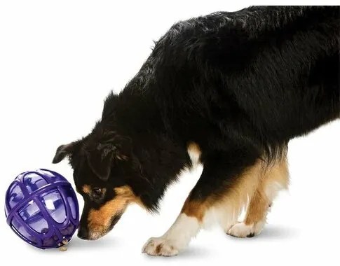 Zabawka dla psów Kibble Nibble XS/S