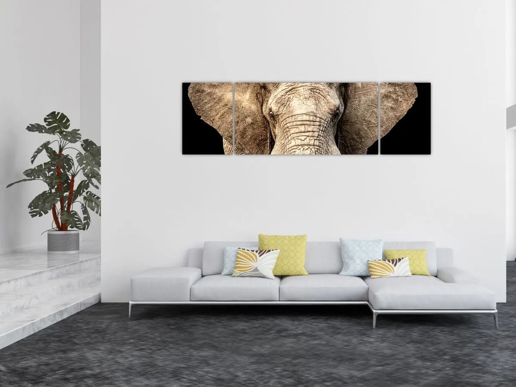 Obraz - Słoń afrykański (170x50 cm)