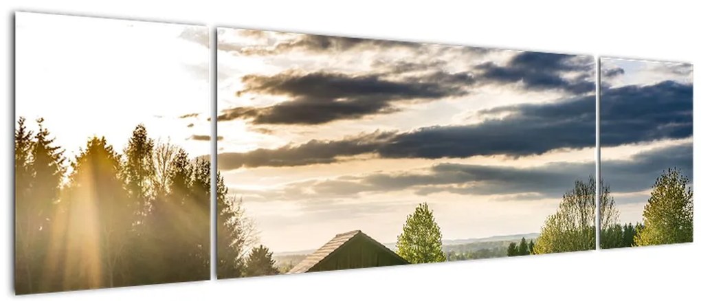 Obraz domku na łące (170x50 cm)