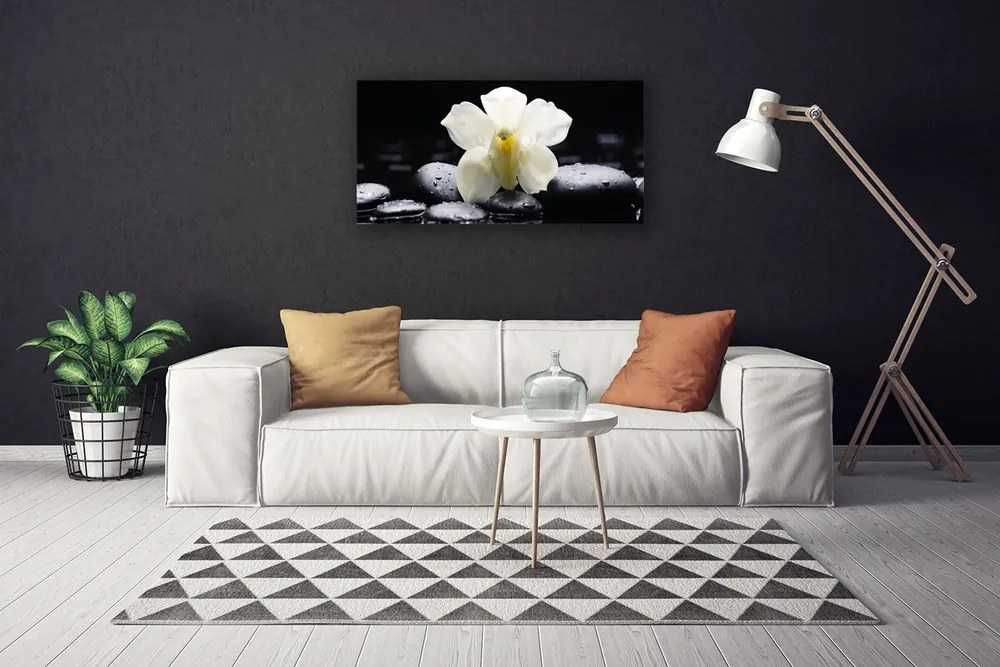 Zdjęcie na płótnie Klasyczna Elegancja Orchidei