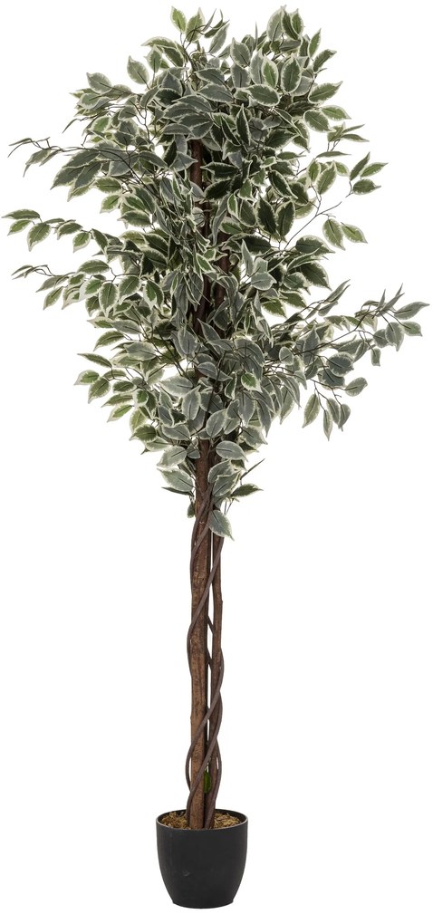 Wysoki sztuczny figowiec z doniczką, wys. 180 cm