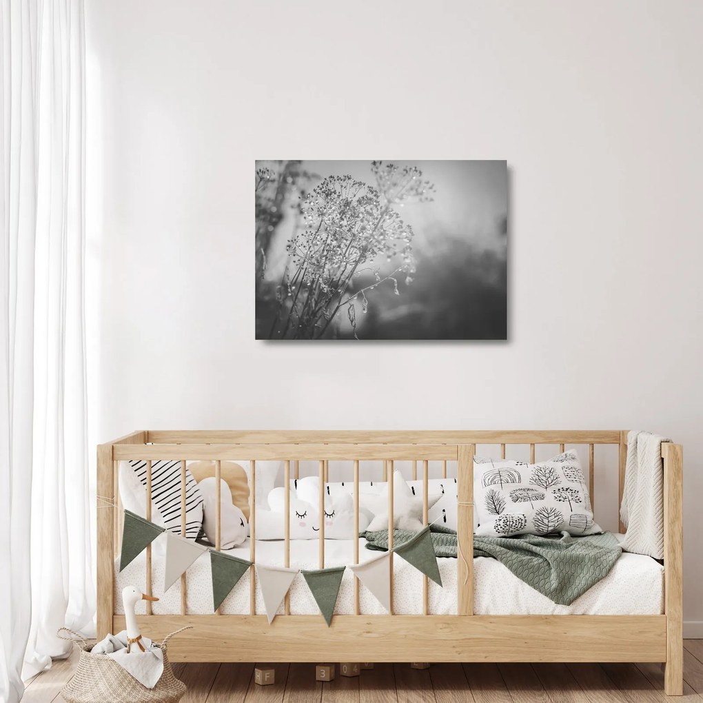 Obraz na szkle - Łąka po deszczu (70x50 cm)