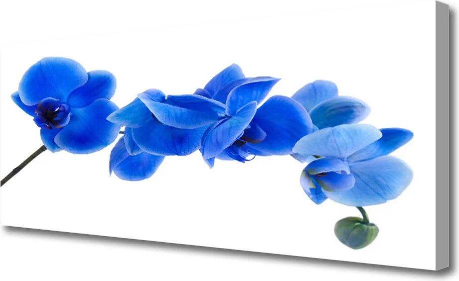 Obraz canvas Delikatność Roślinnej Formy