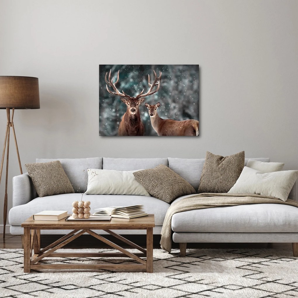 Obraz - Jeleń i łania w zaśnieżonym lesie (70x50 cm)