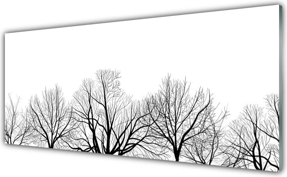 Dekor Szklany do Kuchni Majestatyczne Drzewa v Lesie