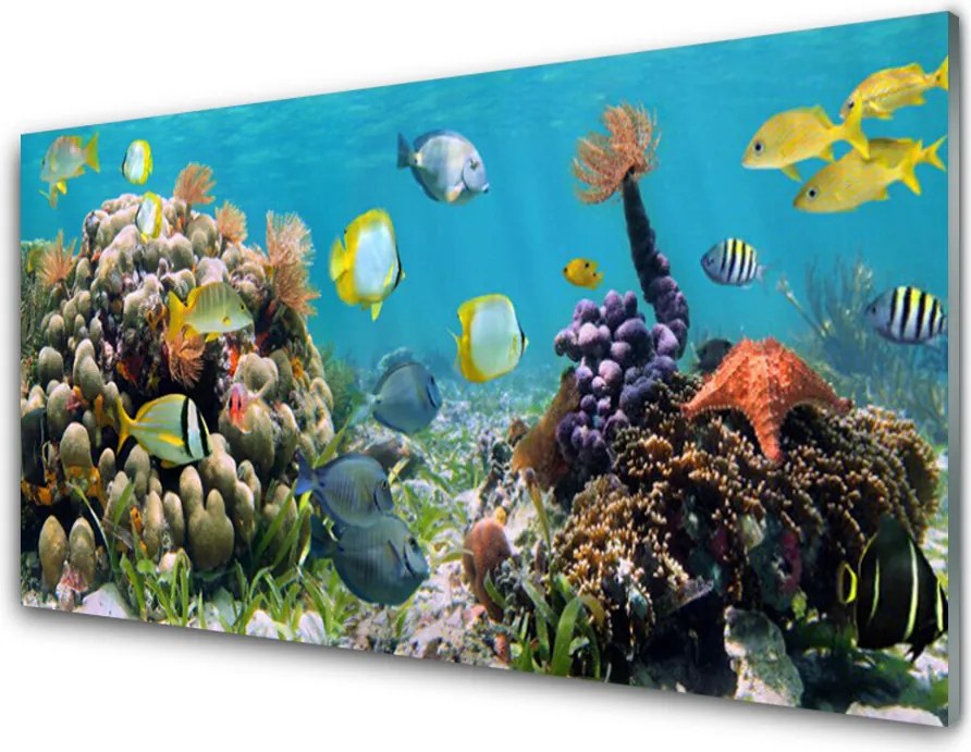 Panel nad blat kuchenny Podwodny Świat Oceanu