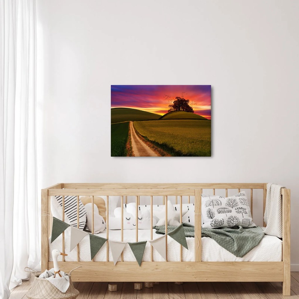 Obraz pola i kolorowego nieba (70x50 cm)