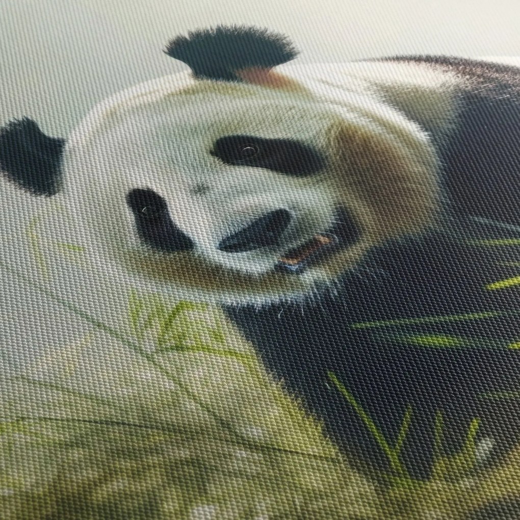 Obraz - Panda (125x70 cm)