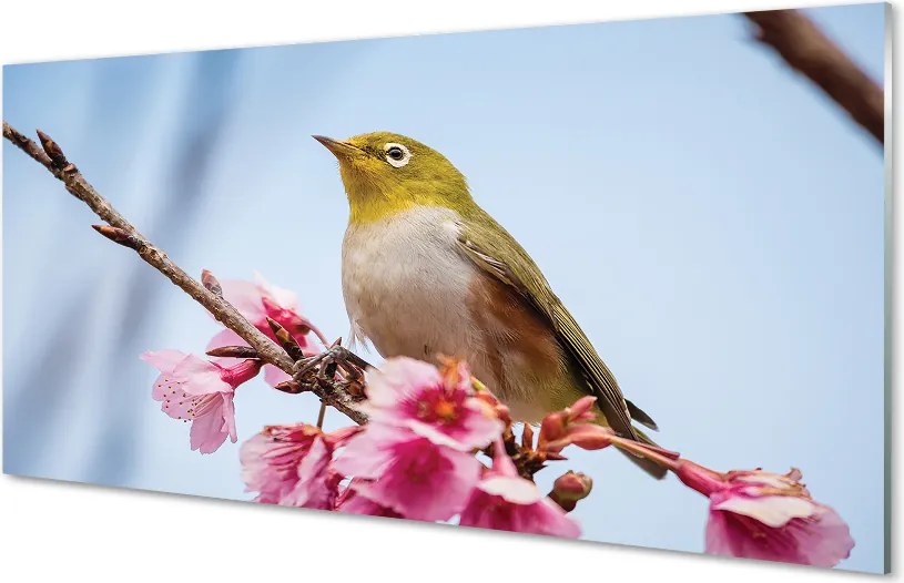 Szkło do Kuchni na Ścianę Samotny Ptak na Gałęzi