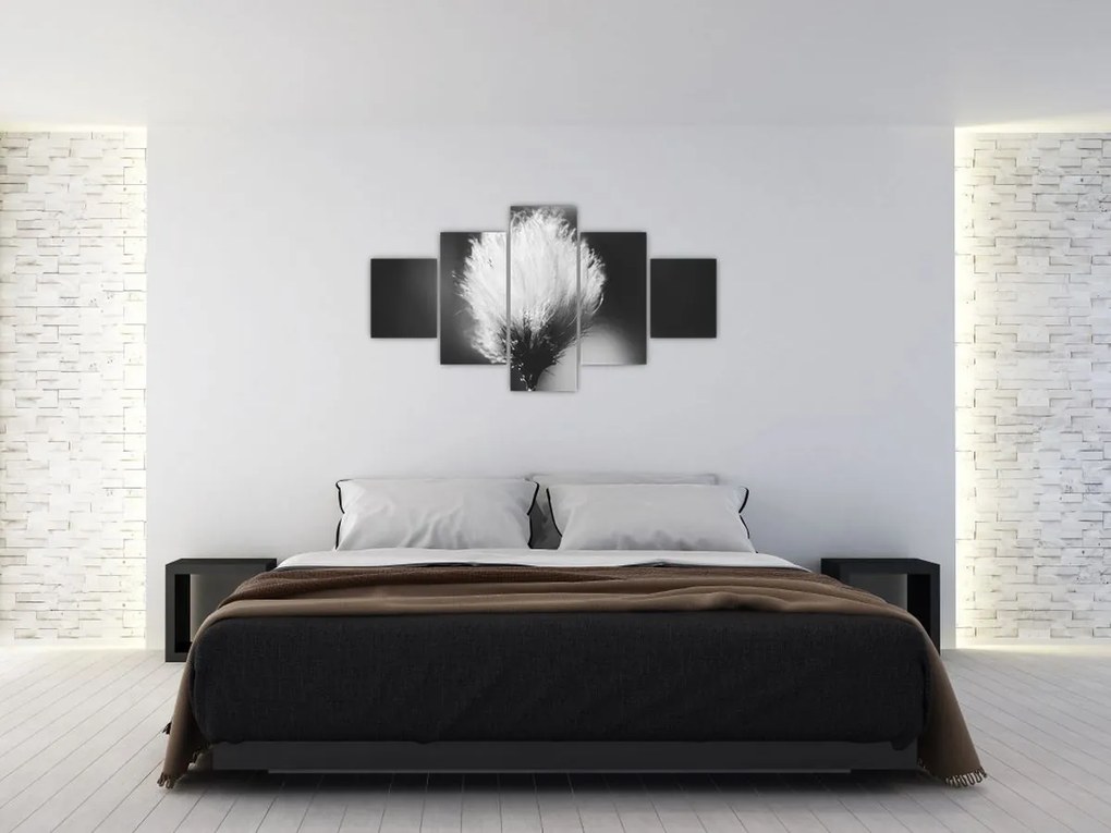 Obraz - Czarno-biała trawa bawełniana (125x70 cm)