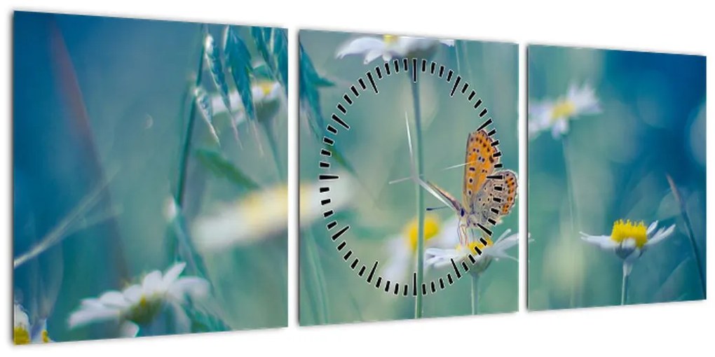 Obraz - Motyl na stokrotce (z zegarem) (90x30 cm)