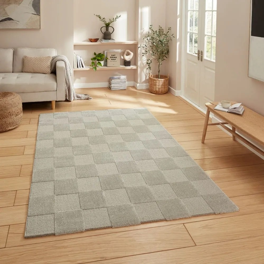 Jasnoszary dywan 200x290 cm Elio Silver – Think Rugs