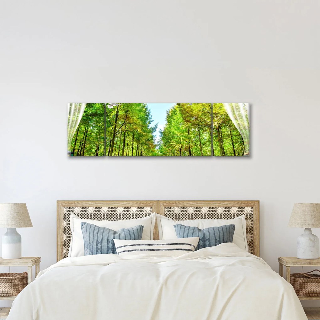 Obraz - Widok na las (170x50 cm)