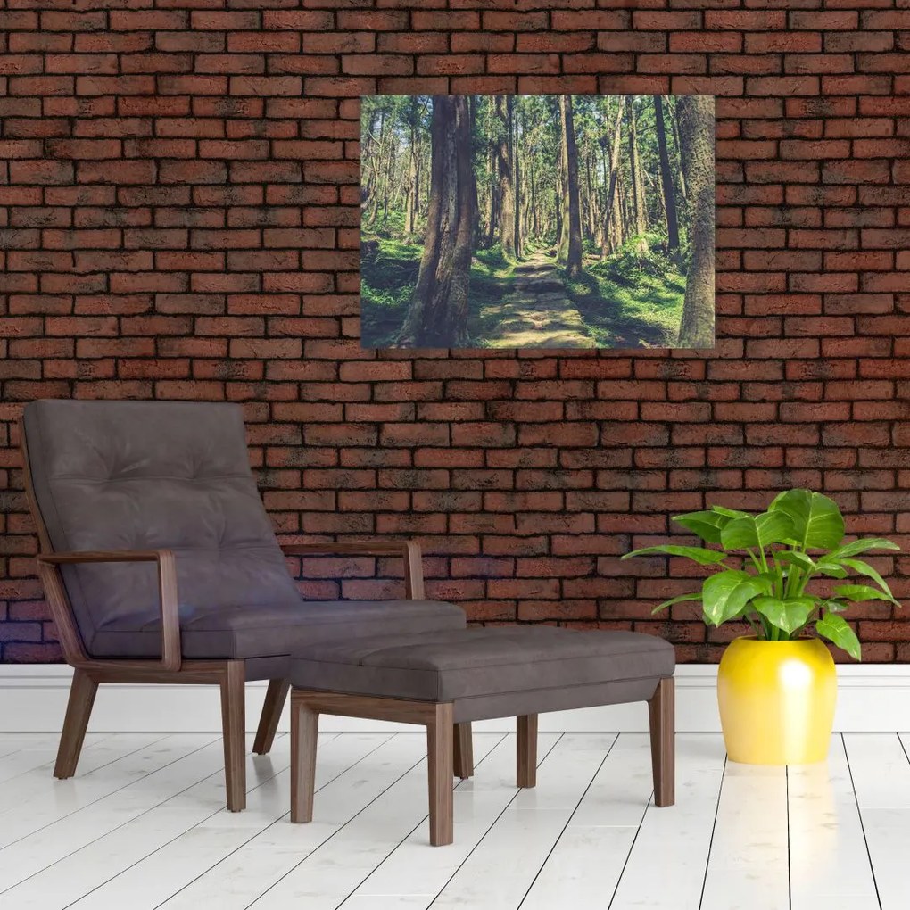 Obraz ścieżki pomiędzy drzewami (70x50 cm)