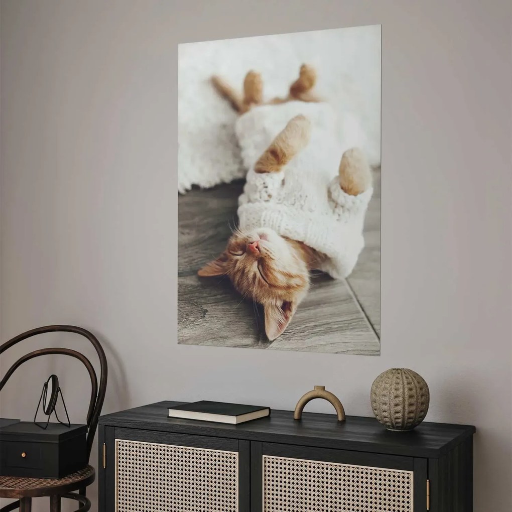 Plakat Leniwy kot 21x30 cm bez ramy bez marginesu ARTGEIST B