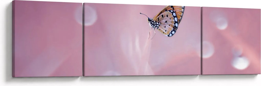 Obraz - Motylek (170x50 cm)