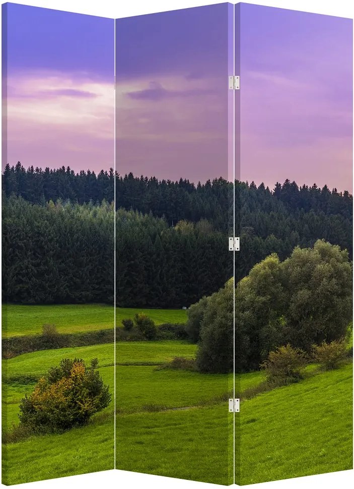 Parawan - Łąka (126x170 cm)