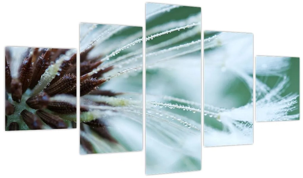 Obraz - Detal kwiatu (125x70 cm)