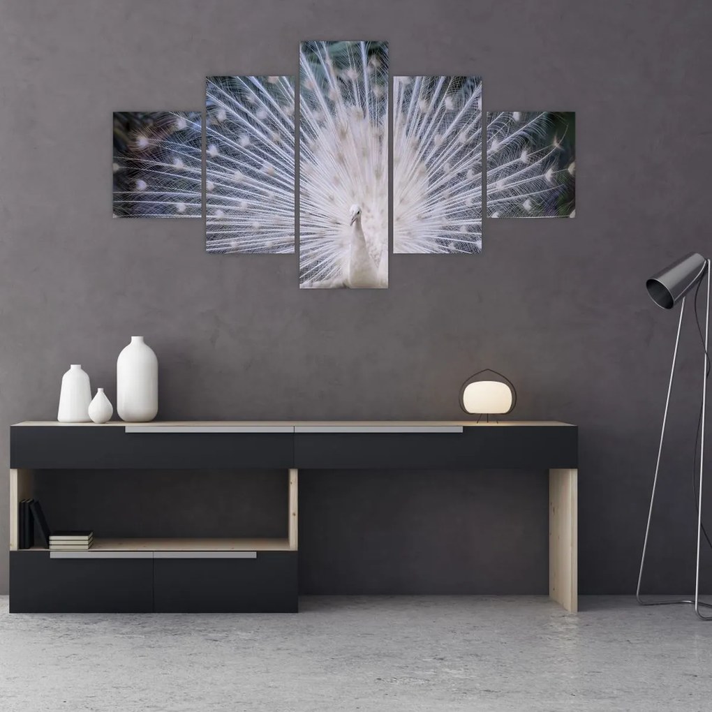 Obraz - Biały paw (125x70 cm)