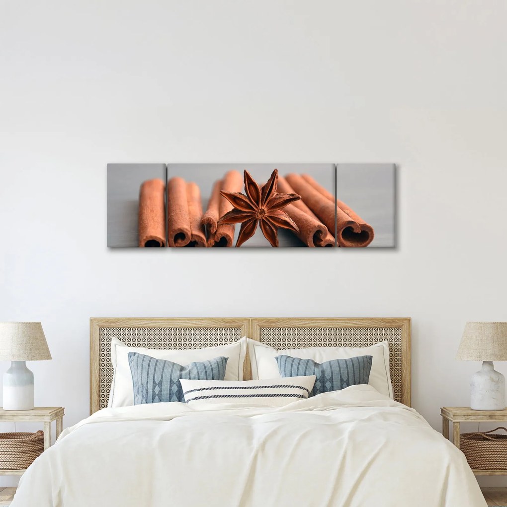 Obraz cynamonu (170x50 cm)