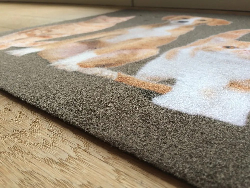 Wycieraczka Deco Star Kumple 50 cm x 80 cm