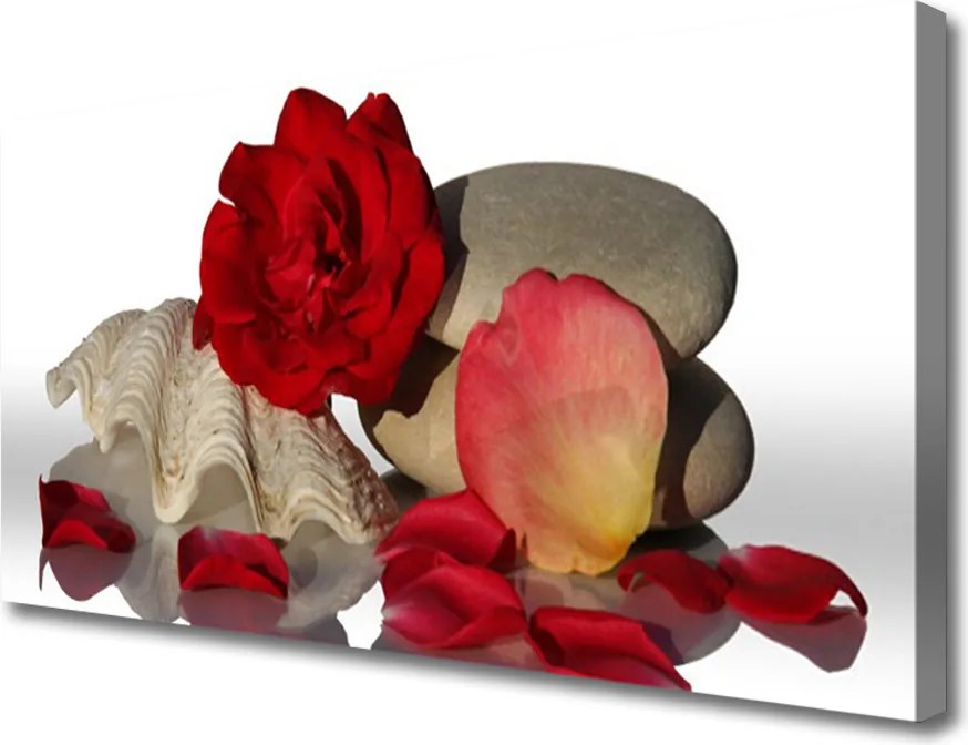 Obraz canvas Aksamitne Płatki Róż