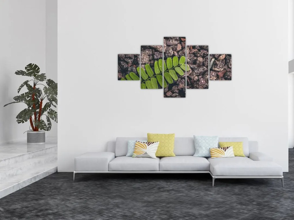 Obraz zielonej rośliny (125x70 cm)
