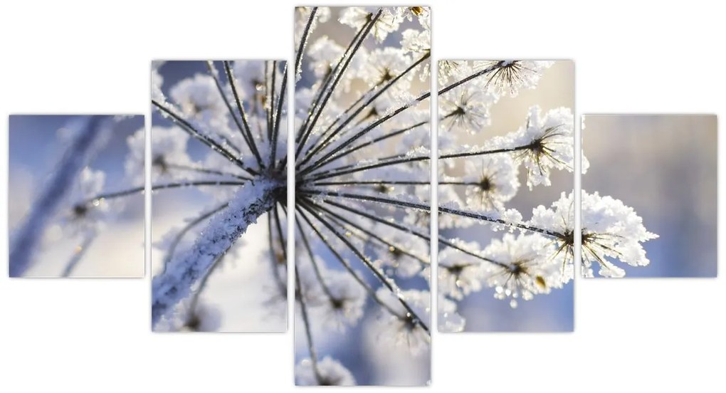 Obraz - Zamarznięty kwiat (125x70 cm)