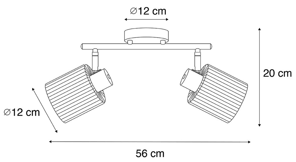 Plafon z reflektorami czarny z dymionym szkłem 2-światła regulowany - Laura