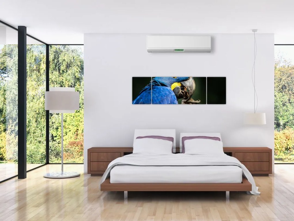 Obraz papugi (170x50 cm)
