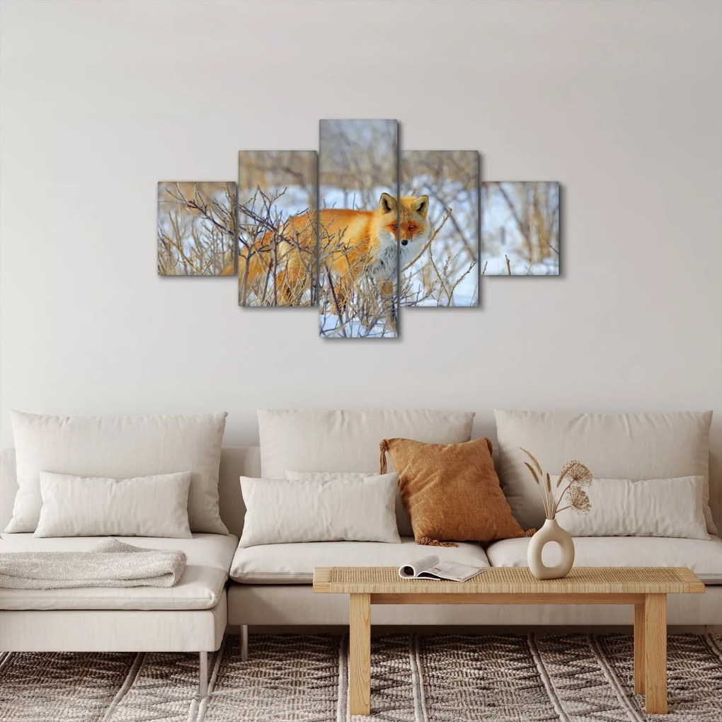 Obraz - Lis (125x70 cm)