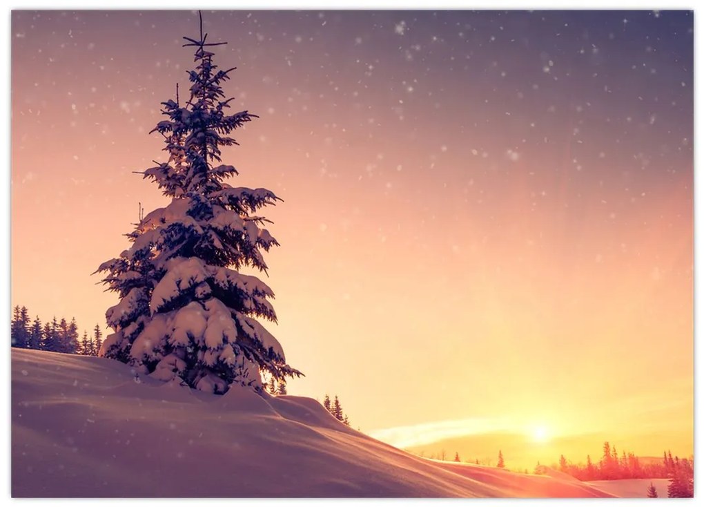 Obraz na szkle - ośnieżone drzewo na łące (70x50 cm)