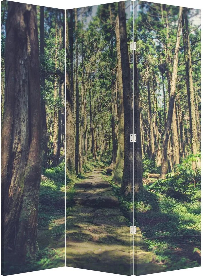 Parawan - Ścieżka wśród drzew (126x170 cm)