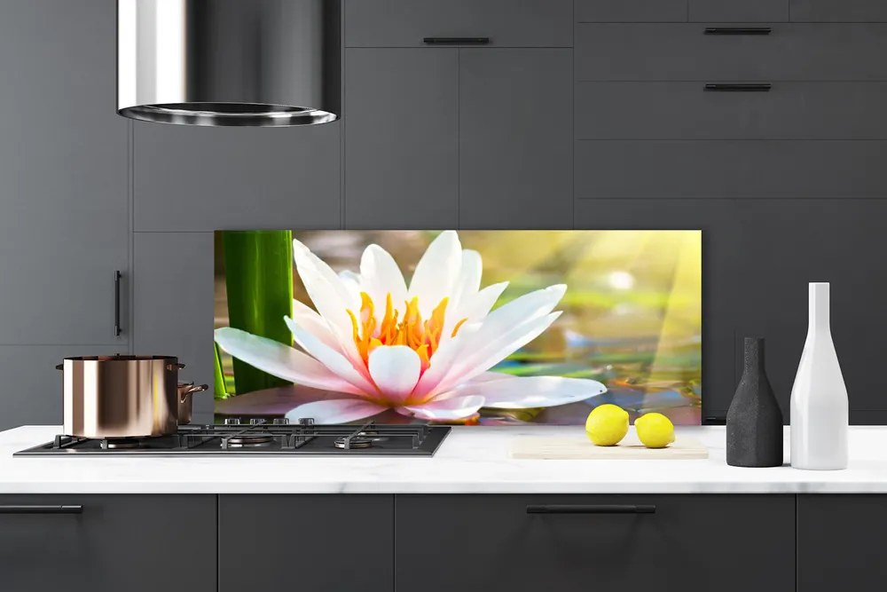 Panel Kuchenny Pełnia Letniego Rozkwitu