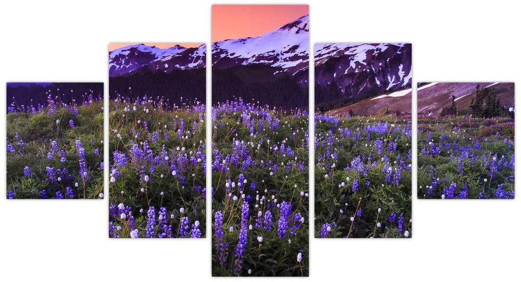 Obraz - Wulkan i kwiaty (125x70 cm)