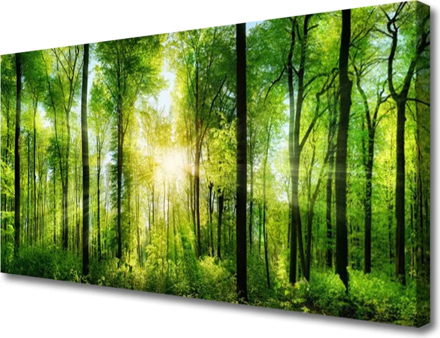 Fotoobraz na płótnie Ścieżka wśród Drzew