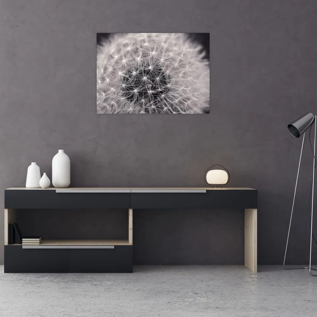 Obraz na szkle dmuchawca (70x50 cm)
