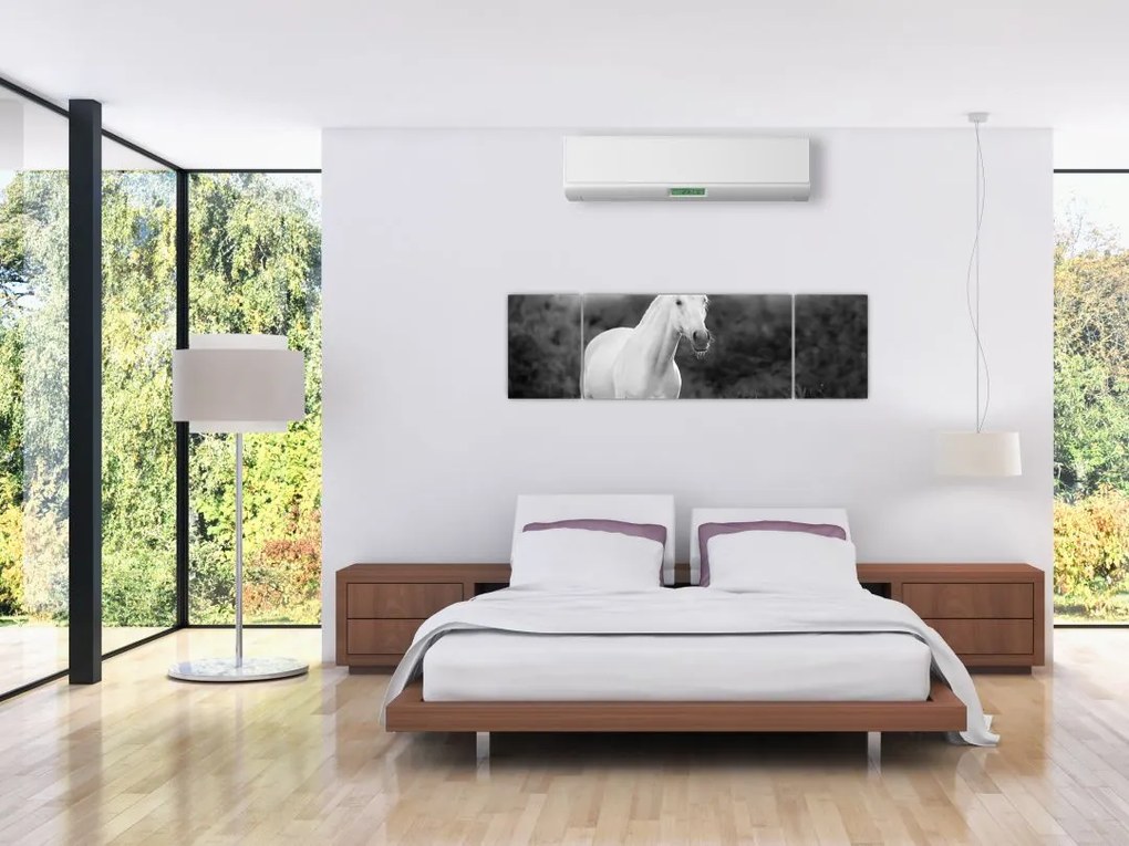 Obraz białego konia na łące, czarno - biały (170x50 cm)