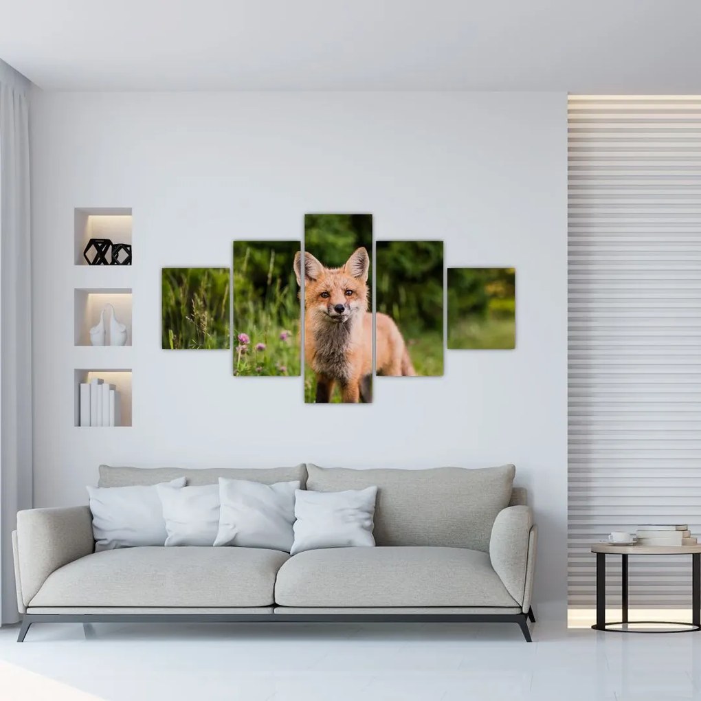Obraz lisa (125x70 cm)