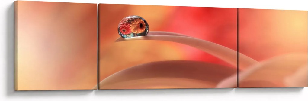 Obraz kwiecistej kropli rosy (170x50 cm)