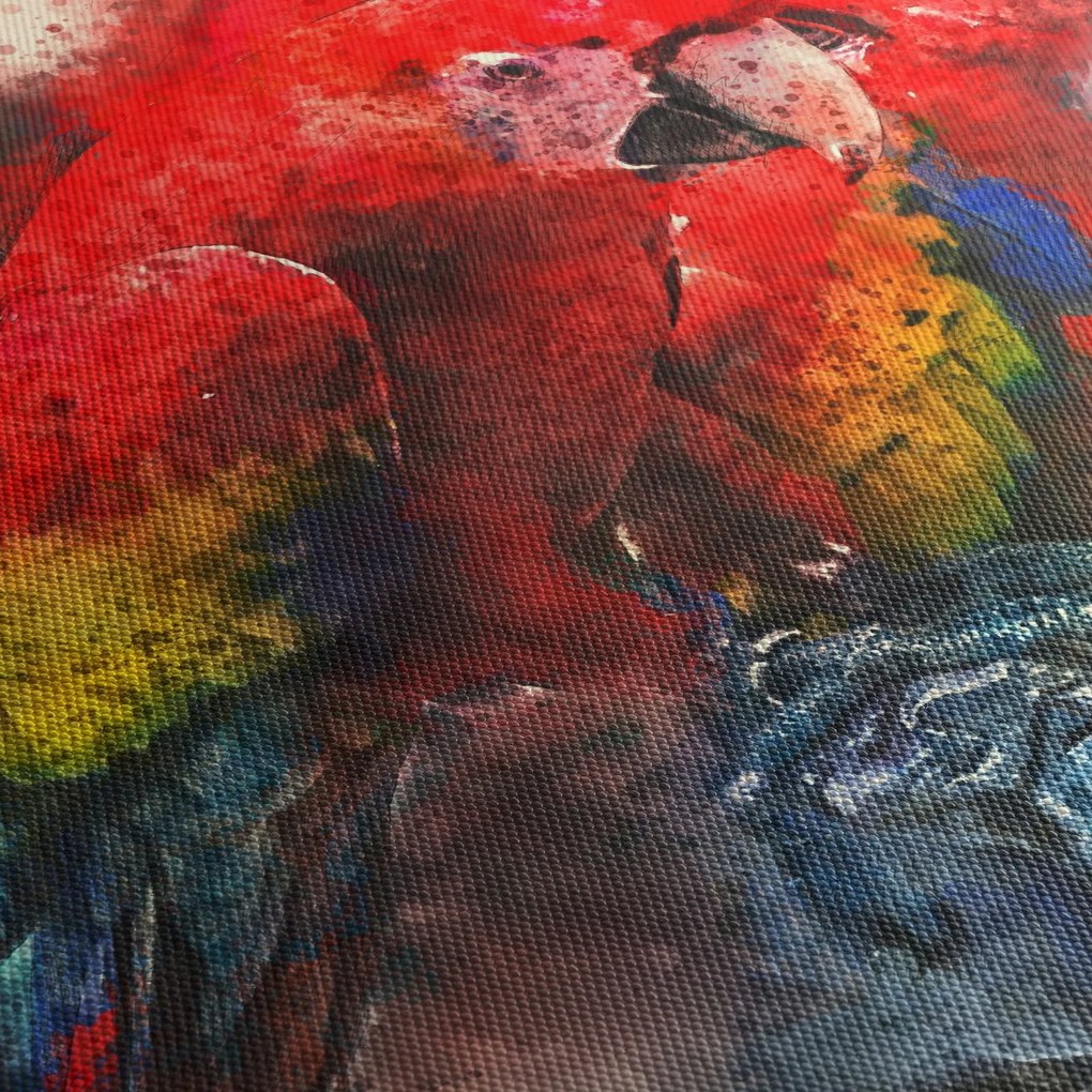 Obraz czerwonych papug Ara (70x50 cm)