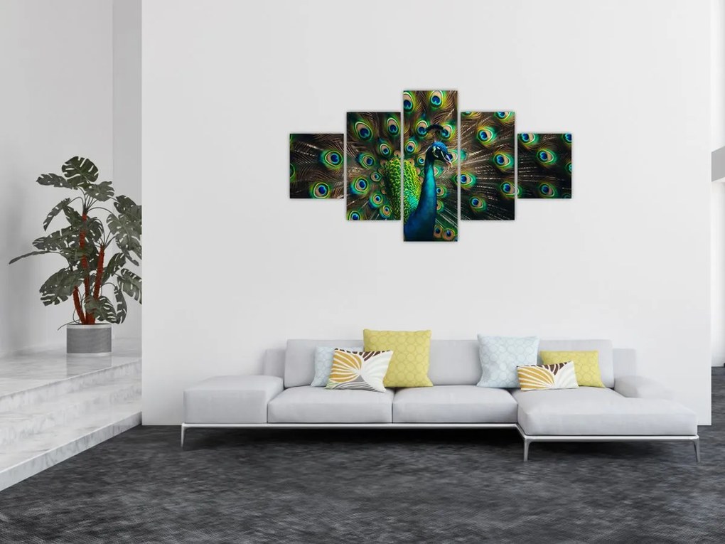 Obraz – Paw (125x70 cm)