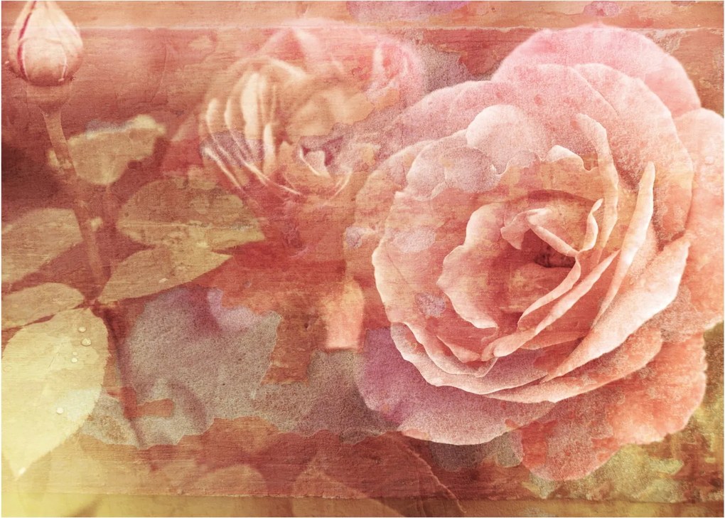 Obraz róż (70x50 cm)