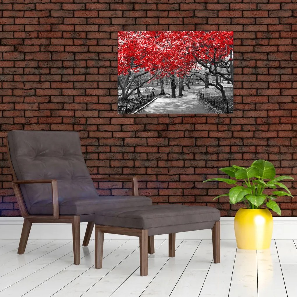 Obraz - Czerwone drzewa, Central Park, New York (70x50 cm)